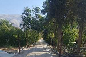 گامی دیگر در مسیر بهسازی «باغ یاس» شبکه بهداشت و درمان ارسنجان